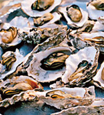 BBQ Oysters